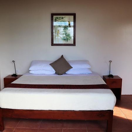 Island View Beachfront Resort Anda  Εξωτερικό φωτογραφία