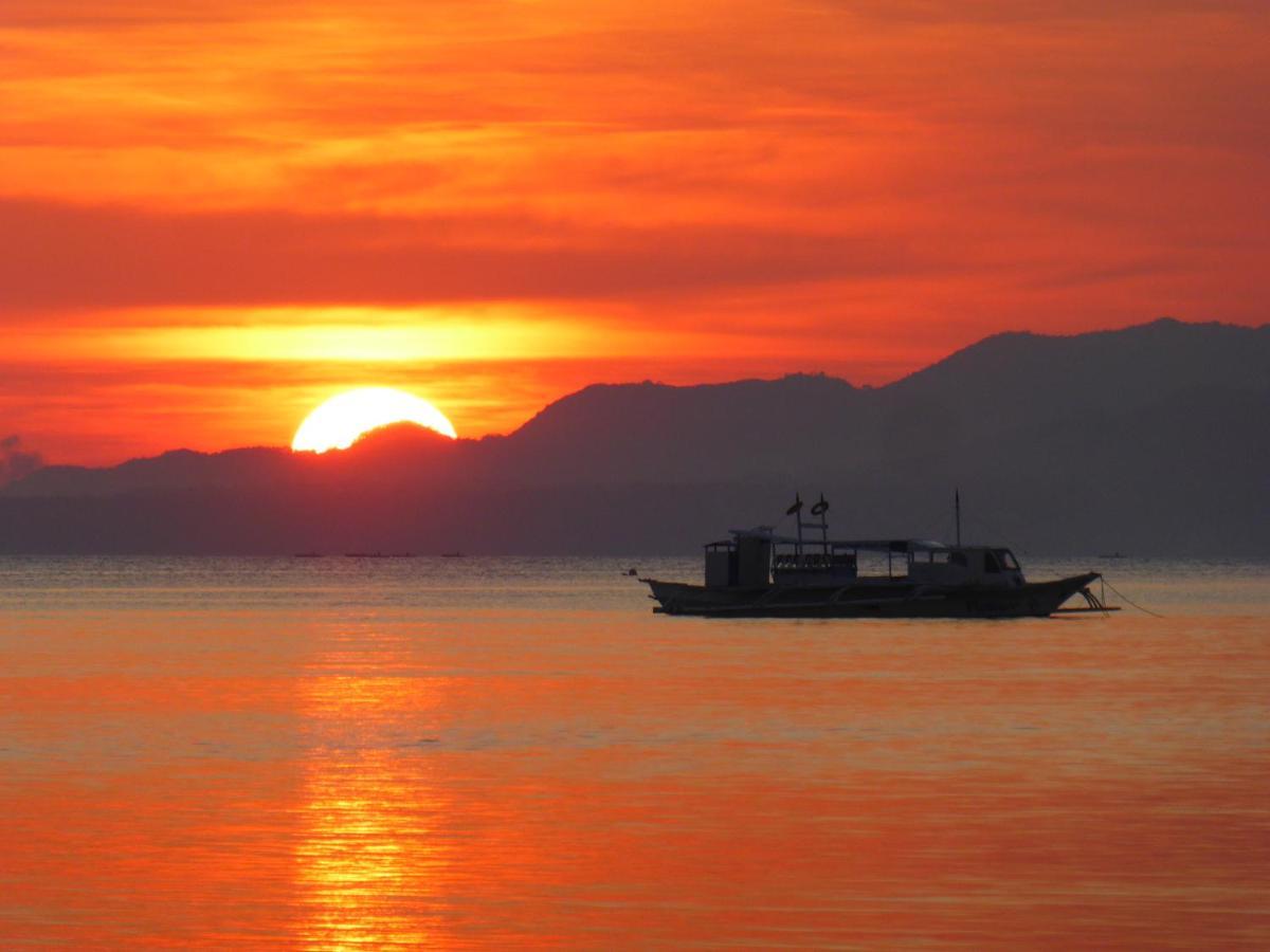 Island View Beachfront Resort Anda  Εξωτερικό φωτογραφία