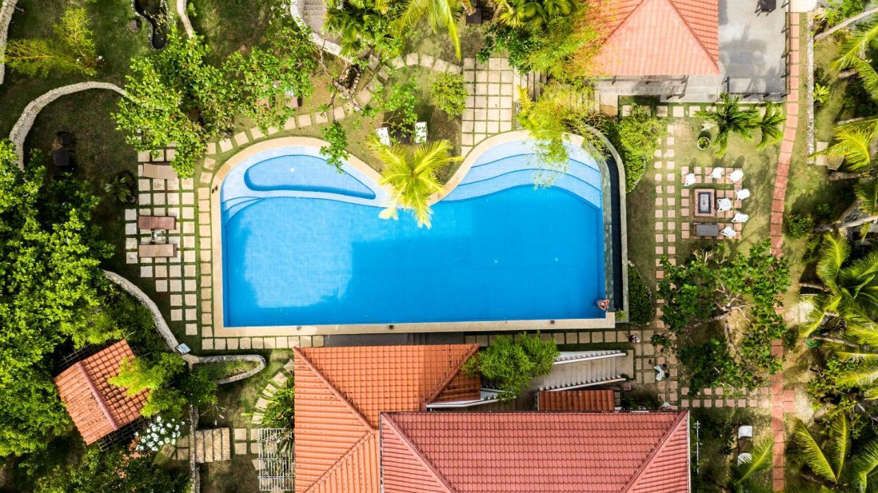 Island View Beachfront Resort Anda  Εξωτερικό φωτογραφία