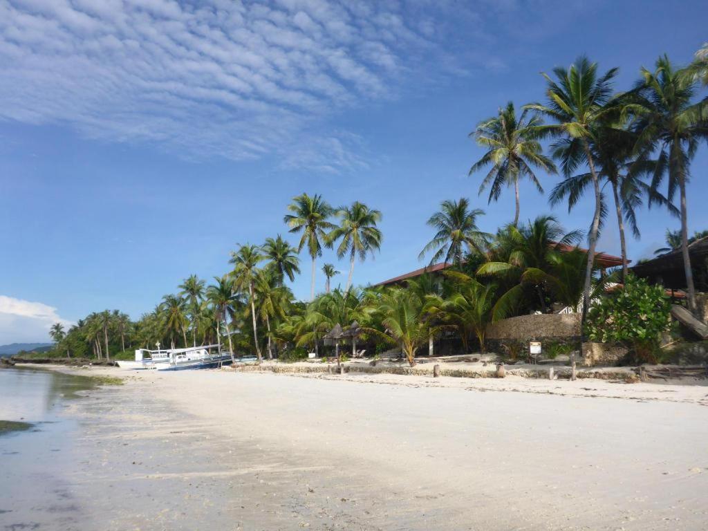 Island View Beachfront Resort Anda  Εξωτερικό φωτογραφία