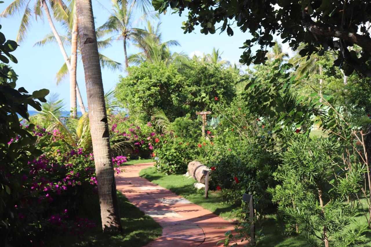 Island View Beachfront Resort Anda  Εξωτερικό φωτογραφία